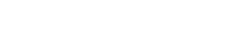 website logo (1)