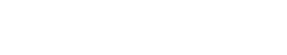 website logo (2)