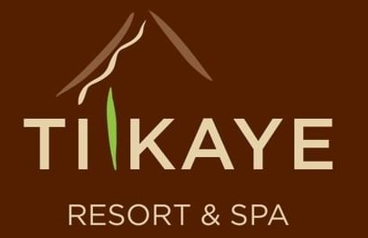 website logo (3)