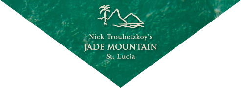 website logo (4)